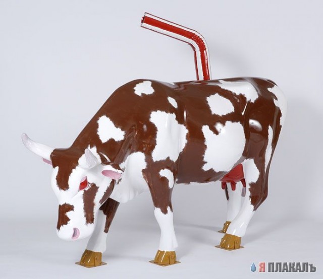БЫКИ, БУРЁНКИ, Коровы кароча