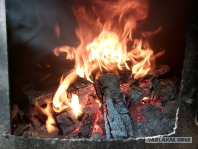Большой плов (по уйгурски)
