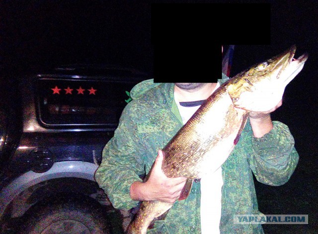 Съездил называется на рыбалку