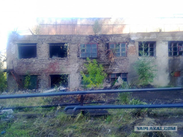 По мотивам С.Т.А.Л.К.Е.Р.а
