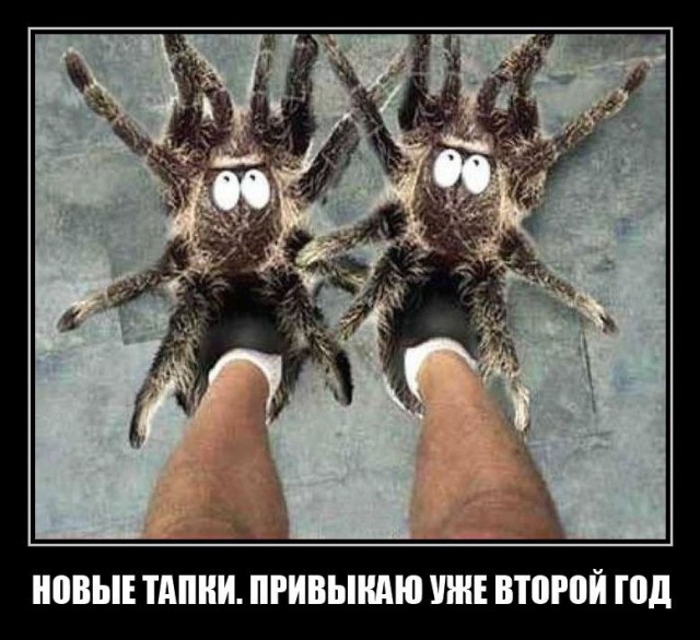 Не ходите, дети, в Африку гулять!
