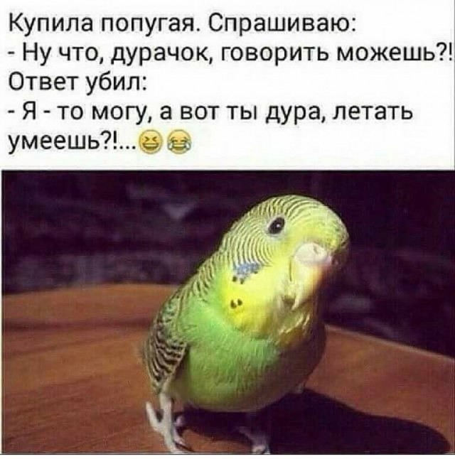 Подборка интересных и веселых картинок