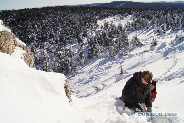 Планета Тайга. Мы снимаем фильмы там, где не ступала нога человека.