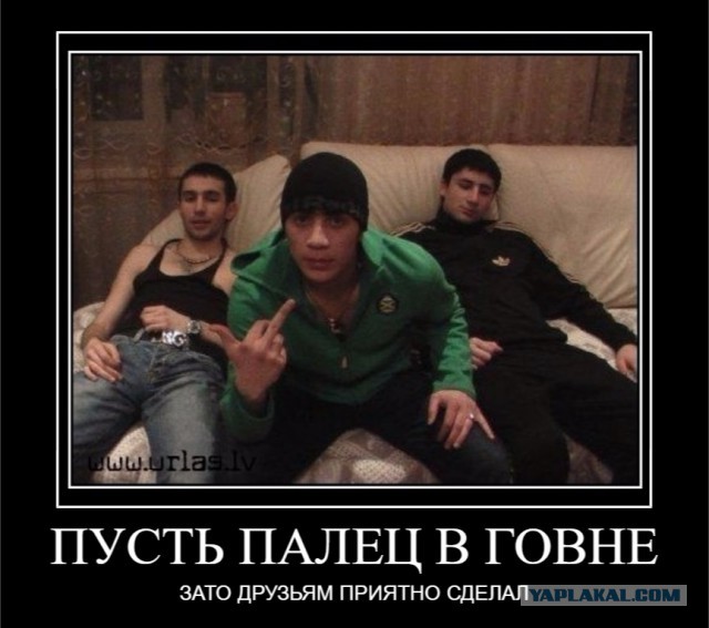 Хачики Ебаные Пидарасы Драные