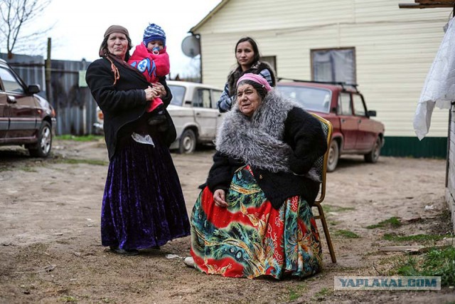 Нашли крайнего