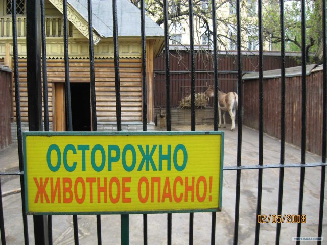 В московском зоопарке (47 фото)