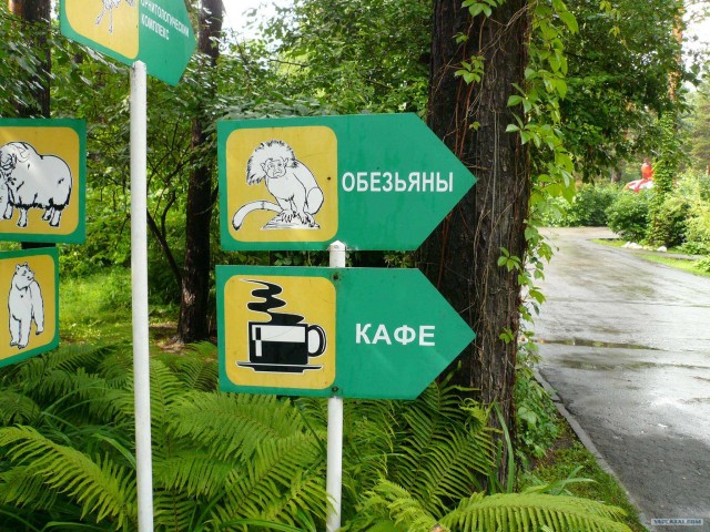 Новосибирский Зоопарк