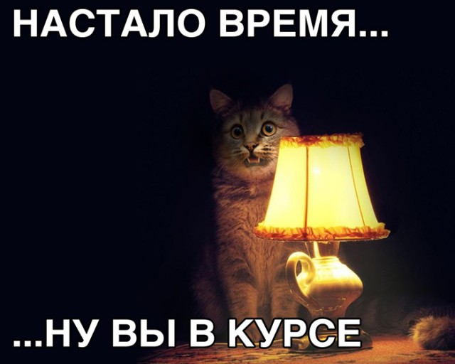 Профессиональные перекупщики устремились в Россию с багажом приобретенных за границей новинок от Apple