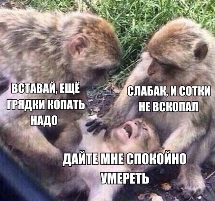 Изобретатели — народ непростой, а их фантазия совершенно не имеет границ