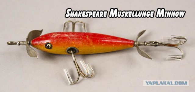 Самые редкие и дорогие приманки для рыбалки