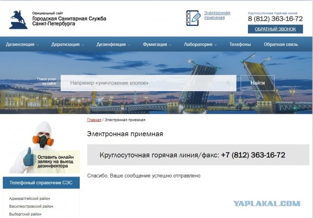 Помогите вернуть кота! Приют "Преданное сердце" украл кота и не отдает!
