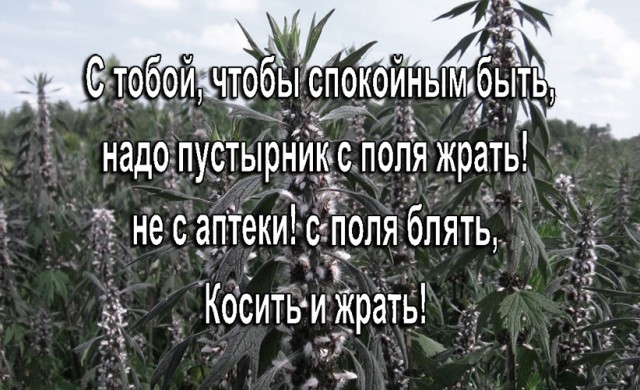 Здесь вам не рады