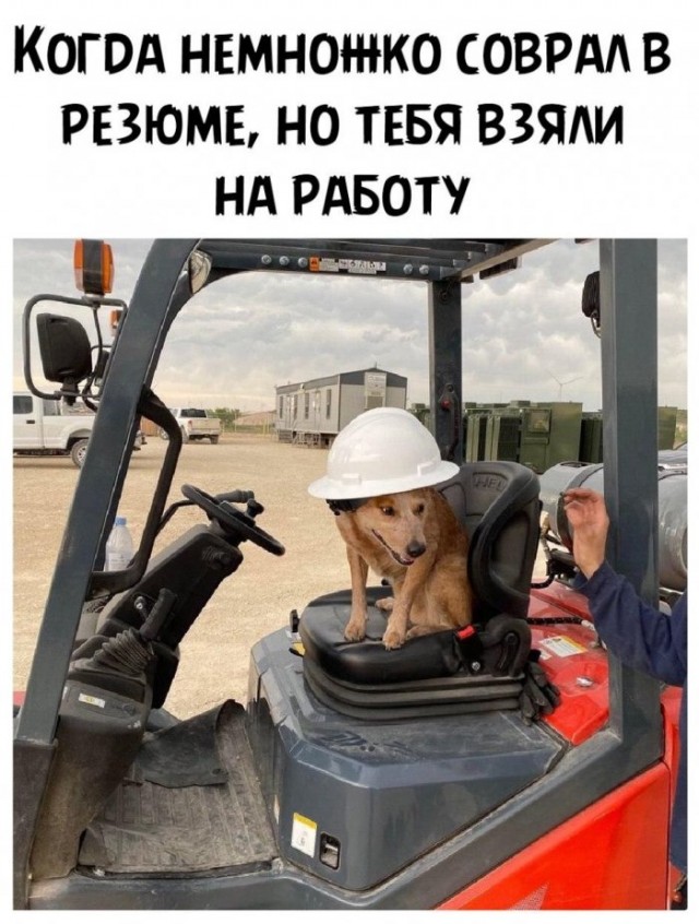 Мем для поднятия настроения девушке
