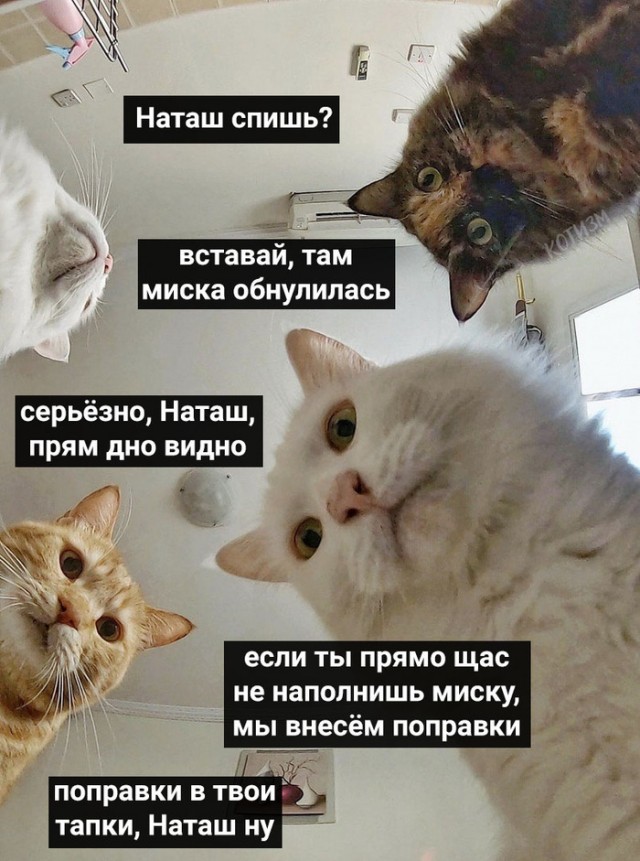 Бредзона 17.07.2020