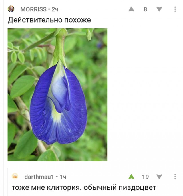 Картинки разные 29.12.2020