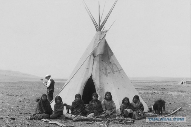 Фотожаба: бутерброд