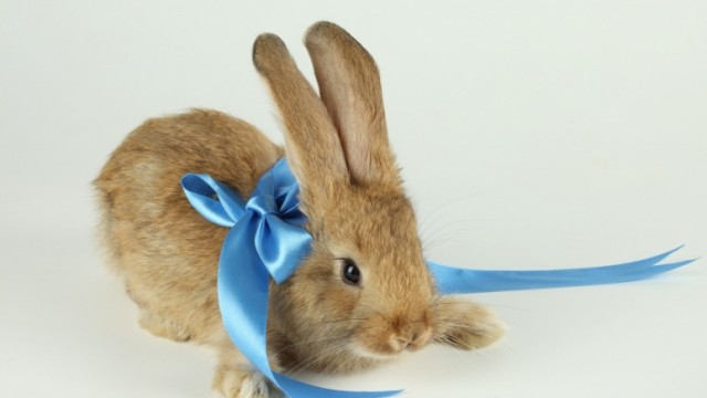 Аццкая кухня 3  (Кулинарный адъ)