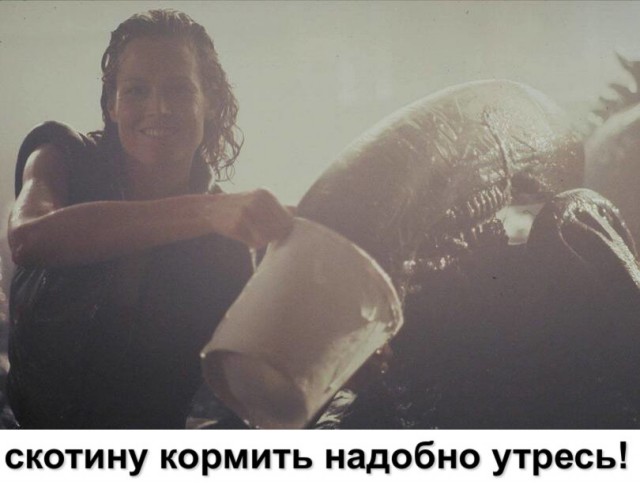 Аморальная деградация