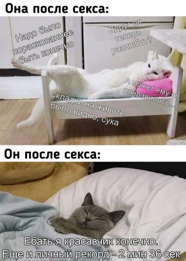 Мамбы х@ямбы и прочие тиндеры