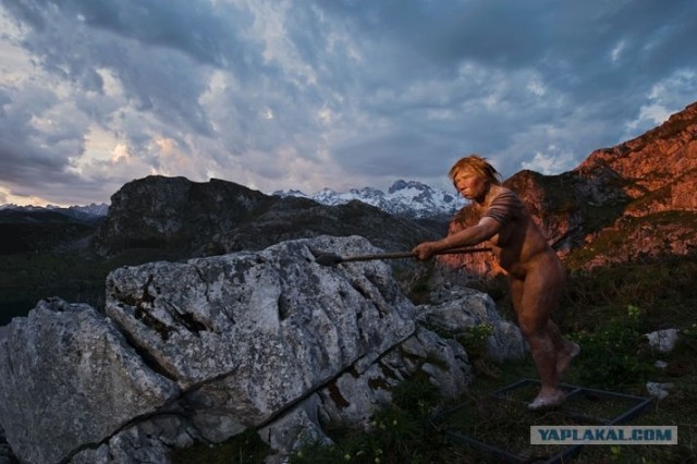 Miss Neanderthal