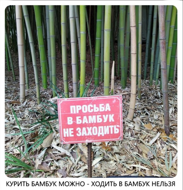 Картинки обо всём 24.04.21