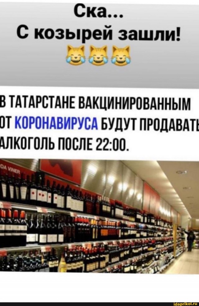 На злобу дна