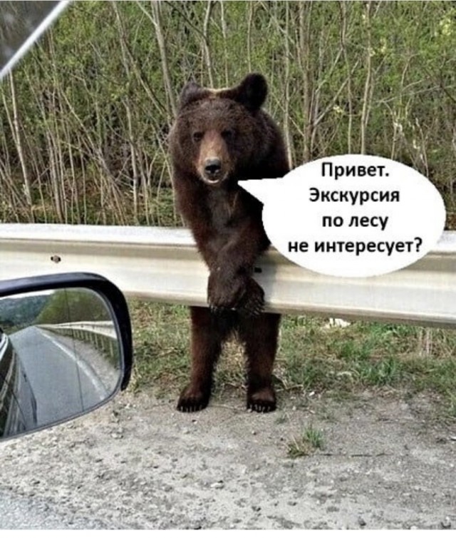 Так себе картинки 27.08.21