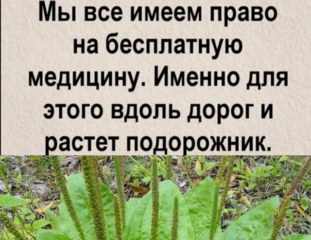 Так себе картинки 21.11.21