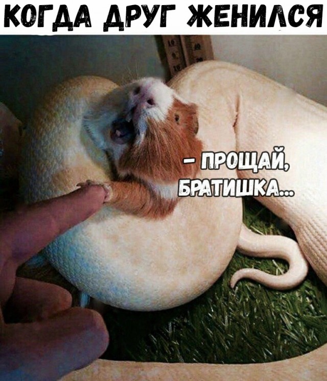 Картинки и мемы для настроения - 15