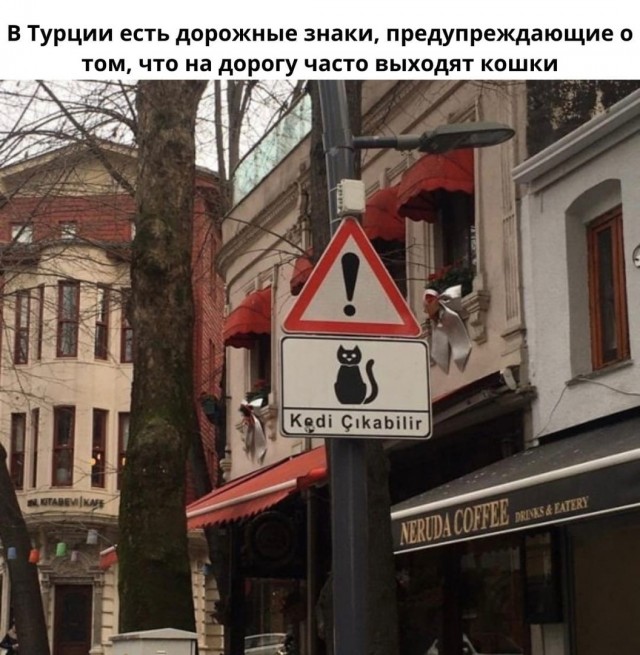 Так себе картинки 03.03.22