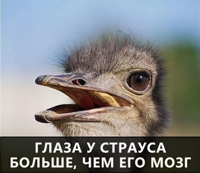 70 удивительных фактов