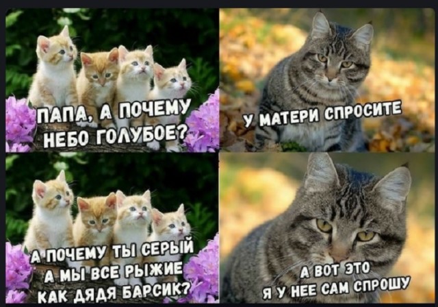 Картинки с надписями и всякие жизненные фразы