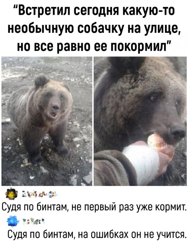 Так себе картинки 30.04.22