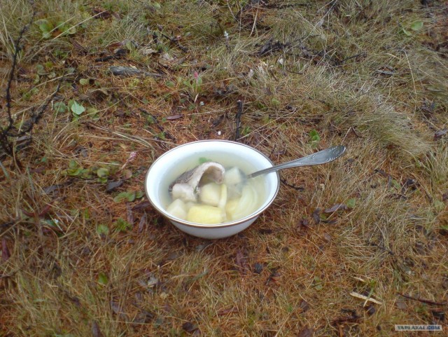 Небольшой рассказ о Севере