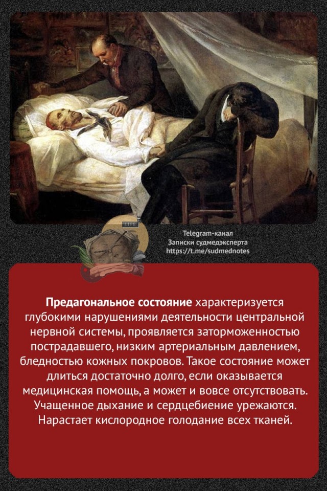 О терминальных состояниях организма