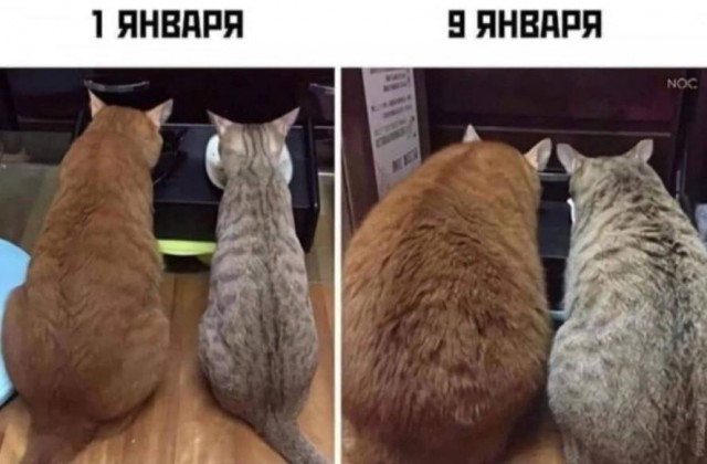 Немного картинок и прочей хреноты Vol. 20