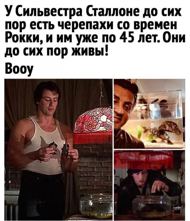 У детей горе