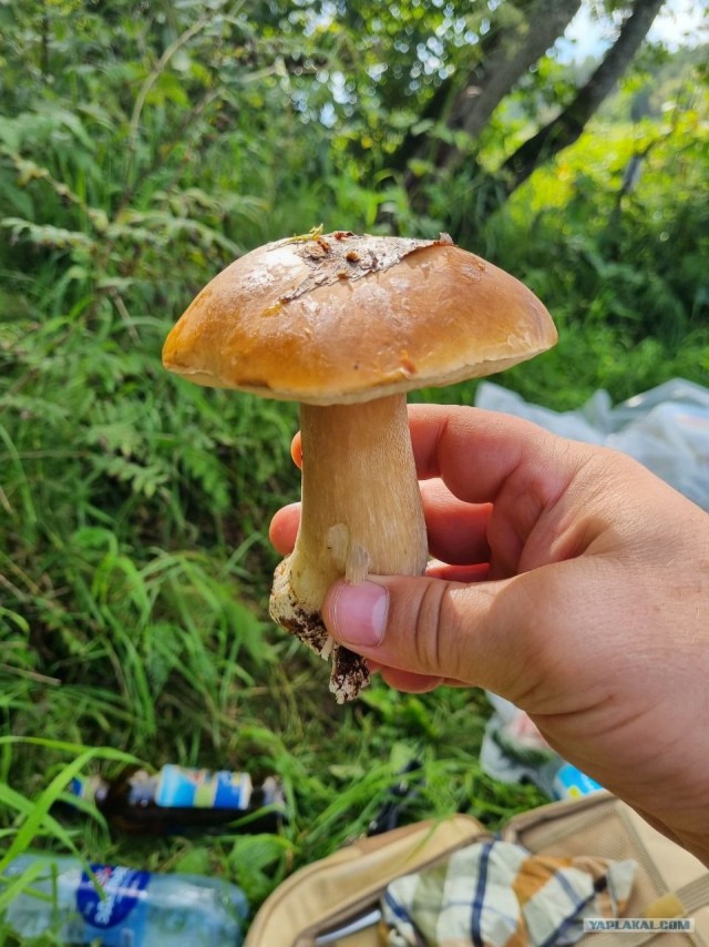 Рыбалка на Мологе