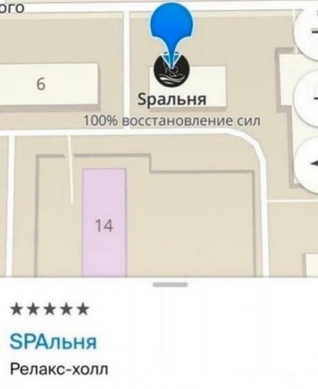 Перлы 04.02.24