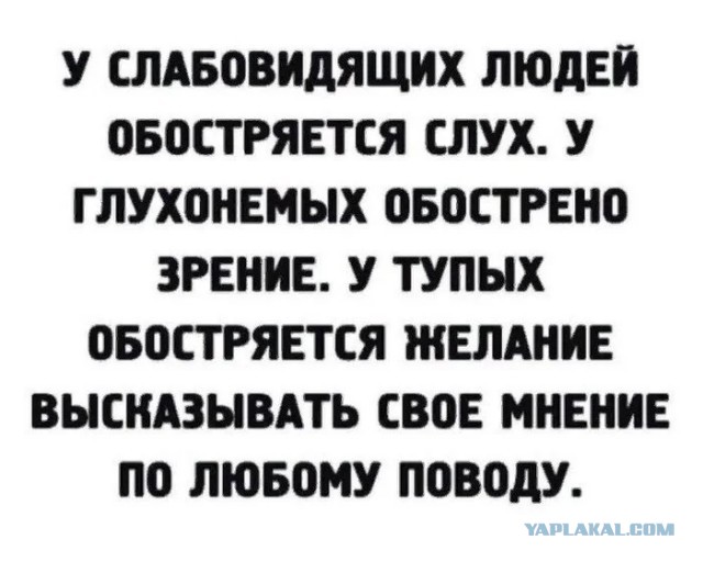 Юра - музыкант, цитаты