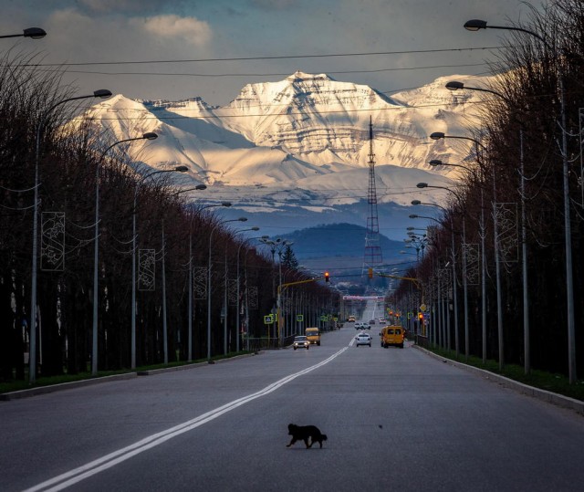 ФотоВинегрет