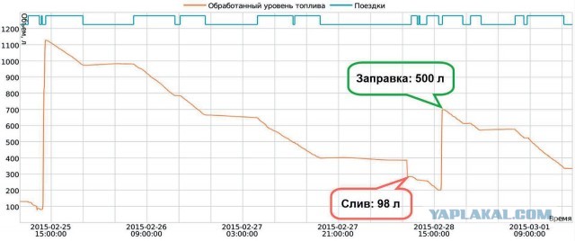 В дремучих лесах Бобруйска
