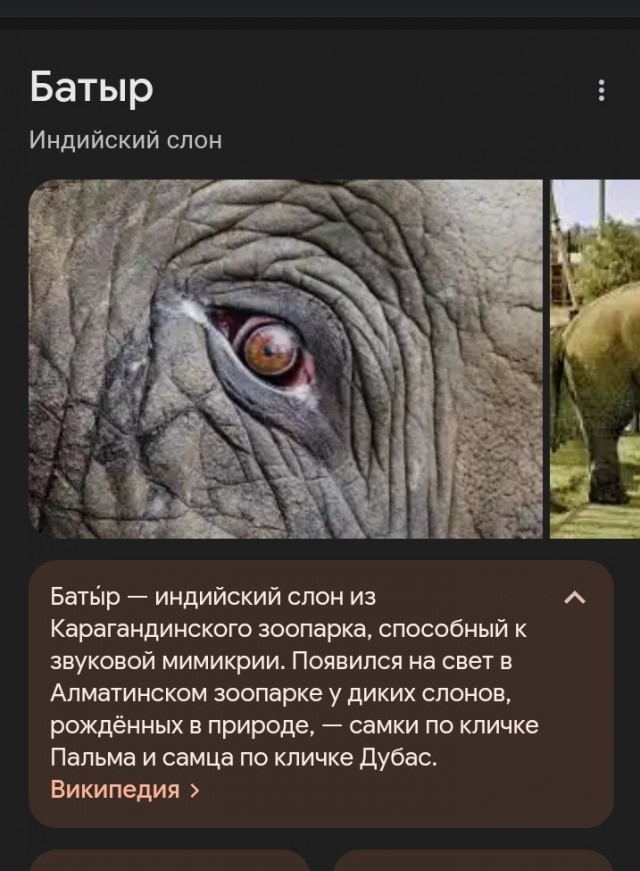 Хулиганьё