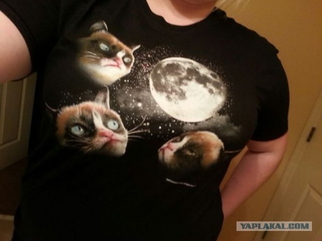 Просто фотка. Питер