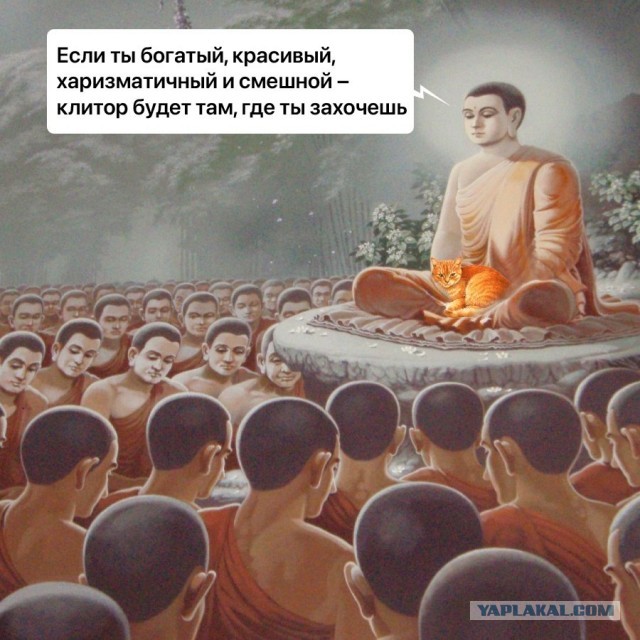 Веселые картинки в понедельник (11.11)