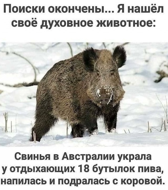 Расскажи мне про море