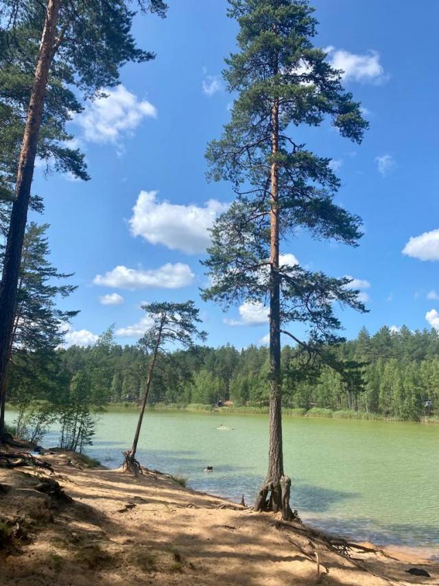 А мы бросили городской быт и уехали в деревню!