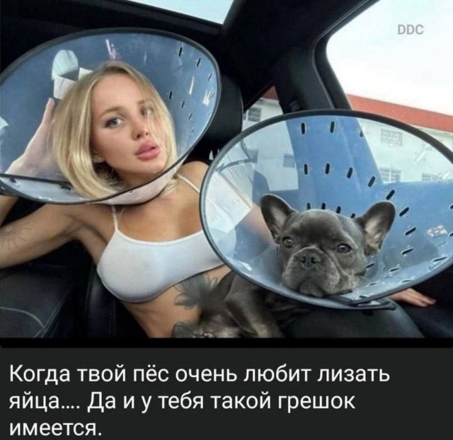 Нуштош 23.04.2025. По эту сторону зеркала (s3e11)