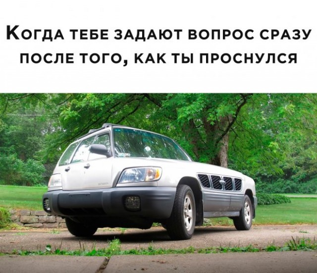 Веселые картинки в понедельник (12.05)