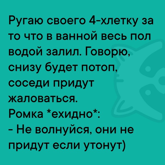 Так себе картинки 28.08.25